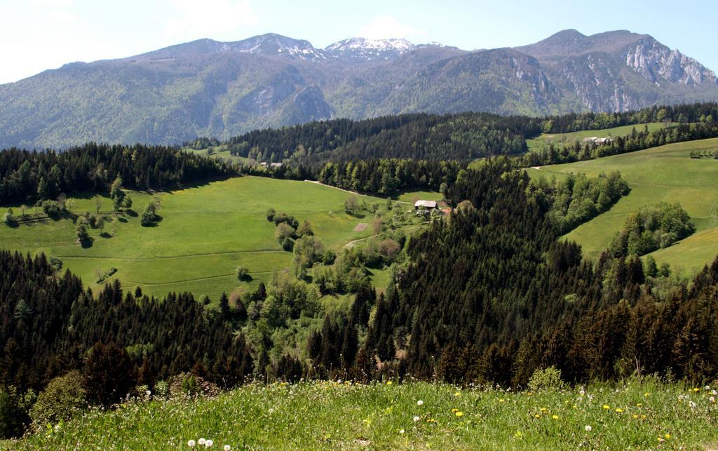 Farmstay Hisa Pecovnik Luče Extérieur photo