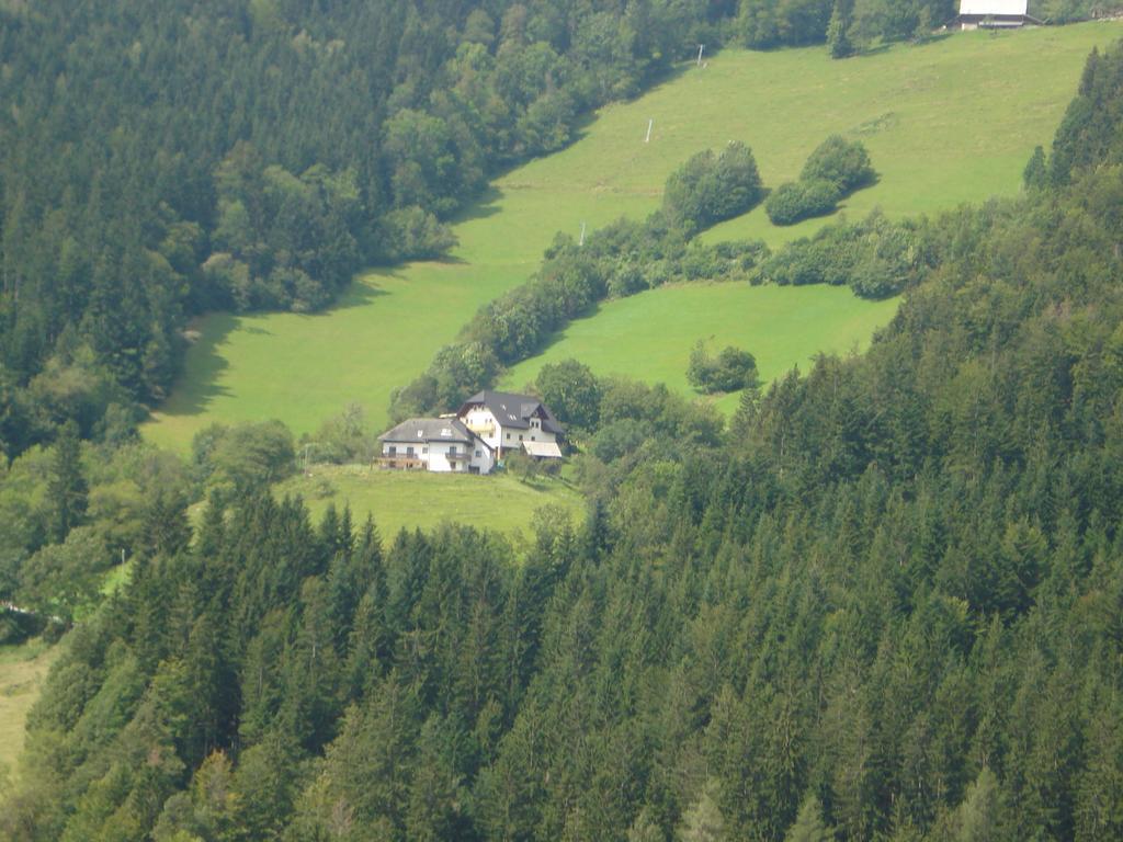 Farmstay Hisa Pecovnik Luče Extérieur photo