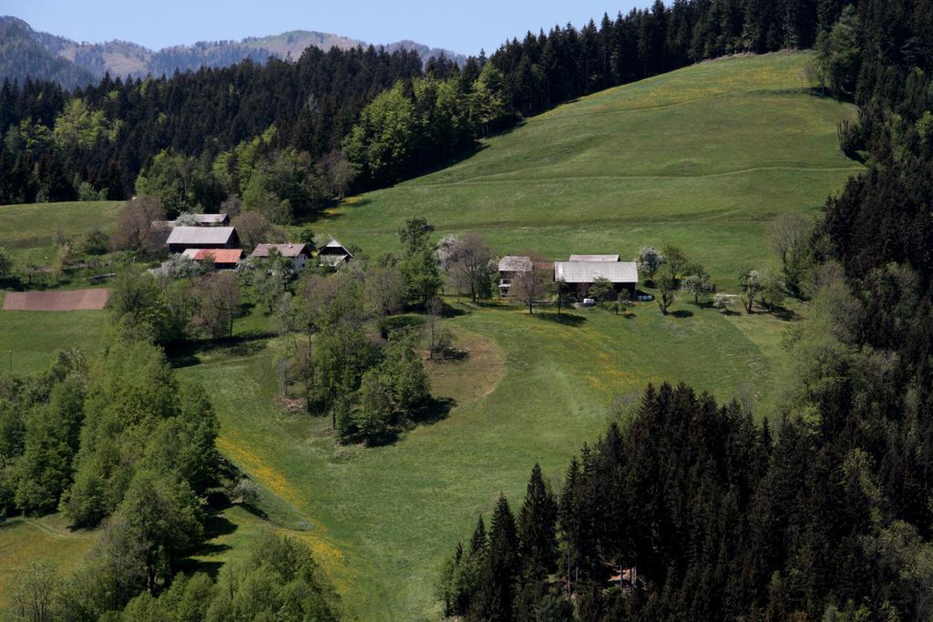Farmstay Hisa Pecovnik Luče Extérieur photo